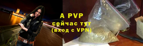 СК Корсаков