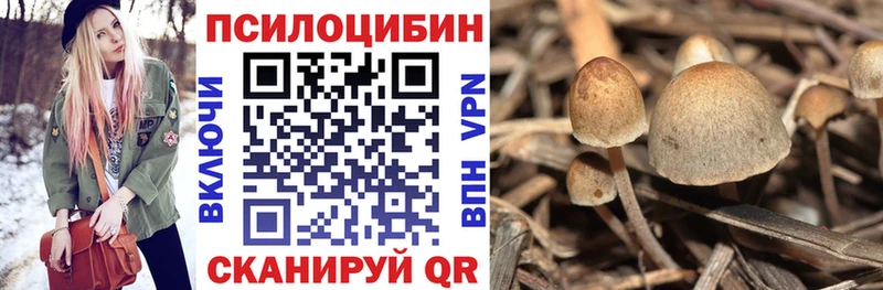 Галлюциногенные грибы мухоморы  Купить закладки  Гаврилов Посад 